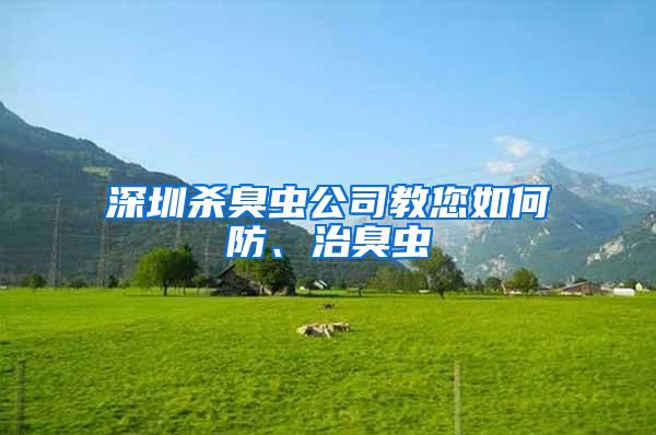 深圳殺臭蟲公司教您如何防、治臭蟲