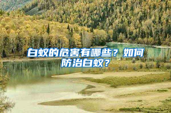 白蟻的危害有哪些?如何防治白蟻?