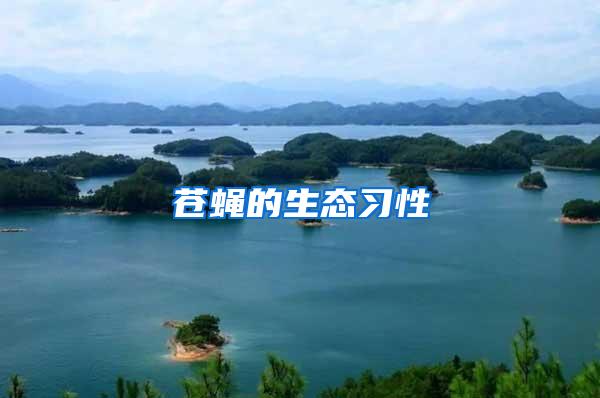 蒼蠅的生態(tài)習(xí)性