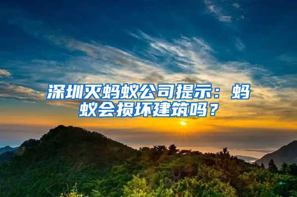 深圳滅螞蟻公司提示:螞蟻會損壞建筑嗎?