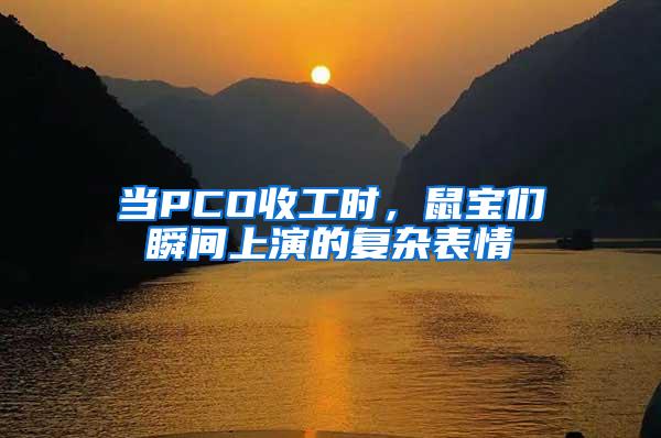 當PCO收工時,鼠寶們瞬間上演的復雜表情