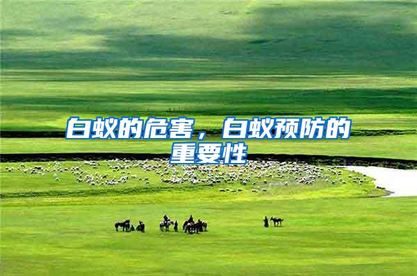 白蟻的危害,白蟻預防的重要性