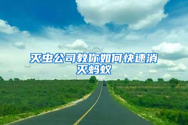 滅蟲(chóng)公司教你如何快速消滅螞蟻