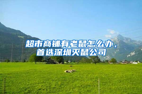 超市商鋪有老鼠怎么辦,首選深圳滅鼠公司