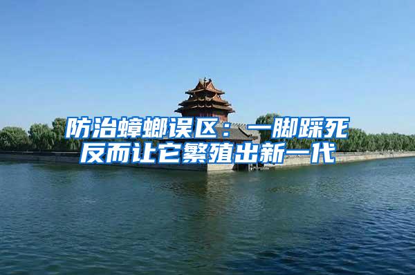 防治蟑螂誤區(qū)：一腳踩死反而讓它繁殖出新一代