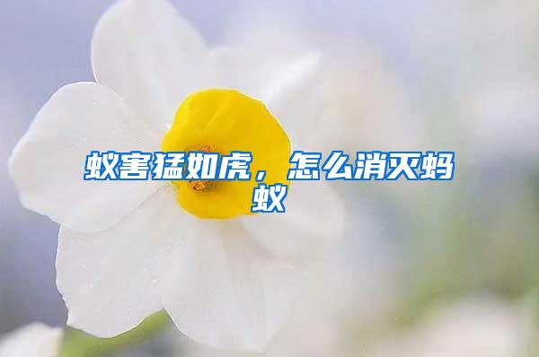 蟻害猛如虎,怎么消滅螞蟻