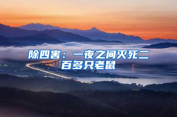 除四害：一夜之間滅死二百多只老鼠