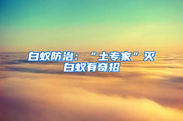 白蟻防治：“土專家”滅白蟻有奇招