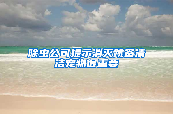 除蟲(chóng)公司提示消滅跳蚤清潔寵物很重要