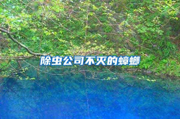 除蟲公司不滅的蟑螂