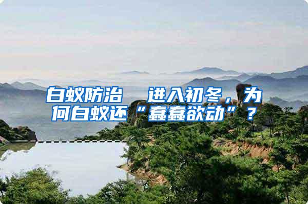 白蟻防治 進入初冬,為何白蟻還“蠢蠢欲動”?