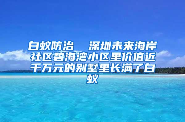 白蟻防治 深圳未來海岸社區碧海灣小區里價值近千萬元的別墅里長滿了白蟻