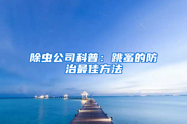 除蟲公司科普:跳蚤的防治最佳方法