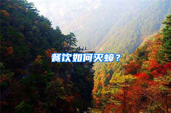 餐飲如何滅蟑？