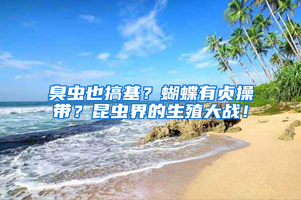 臭蟲(chóng)也搞基？蝴蝶有貞操帶？昆蟲(chóng)界的生殖大戰(zhàn)！