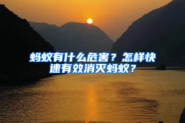 螞蟻有什么危害?怎樣快速有效消滅螞蟻?