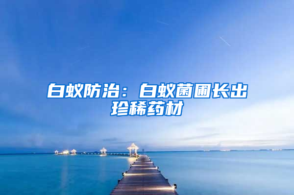 白蟻防治：白蟻菌圃長出珍稀藥材