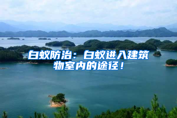 白蟻防治:白蟻進入建筑物室內的途徑!