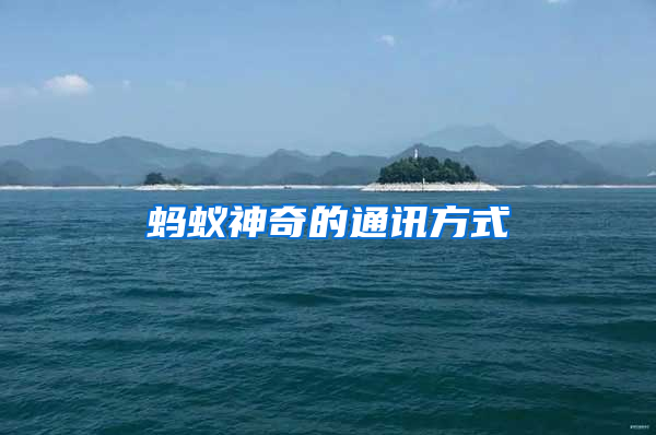 螞蟻神奇的通訊方式