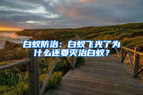 白蟻防治:白蟻飛光了為什么還要滅治白蟻?