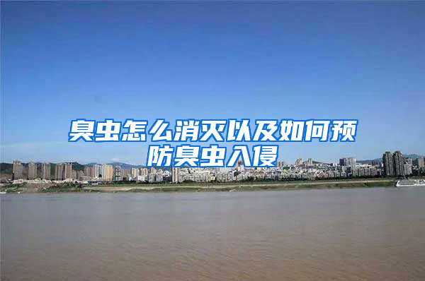 臭蟲怎么消滅以及如何預防臭蟲入侵