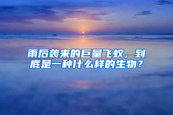 雨后襲來的巨量飛蟻,到底是一種什么樣的生物?