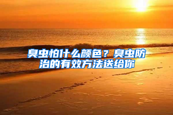 臭蟲(chóng)怕什么顏色?臭蟲(chóng)防治的有效方法送給你