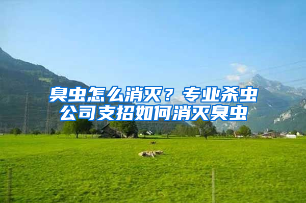 臭蟲怎么消滅?專業(yè)殺蟲公司支招如何消滅臭蟲