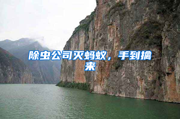 除蟲公司滅螞蟻，手到擒來