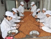 四害消殺：食品、加工行業(yè)