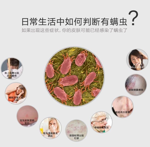 深圳殺蟲(chóng)公司